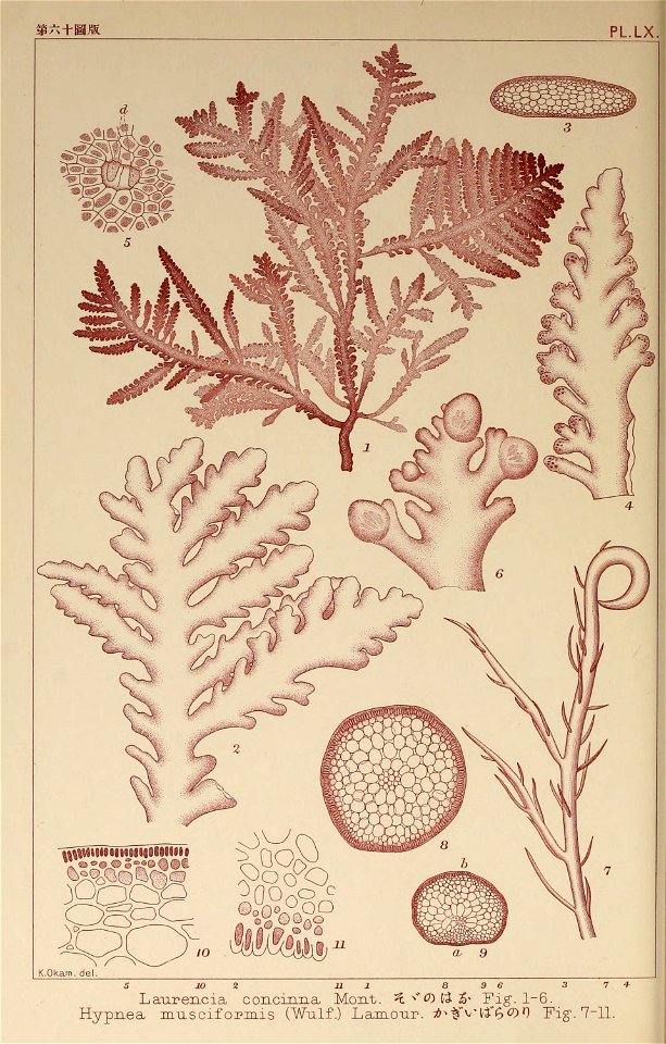 n61_w1150