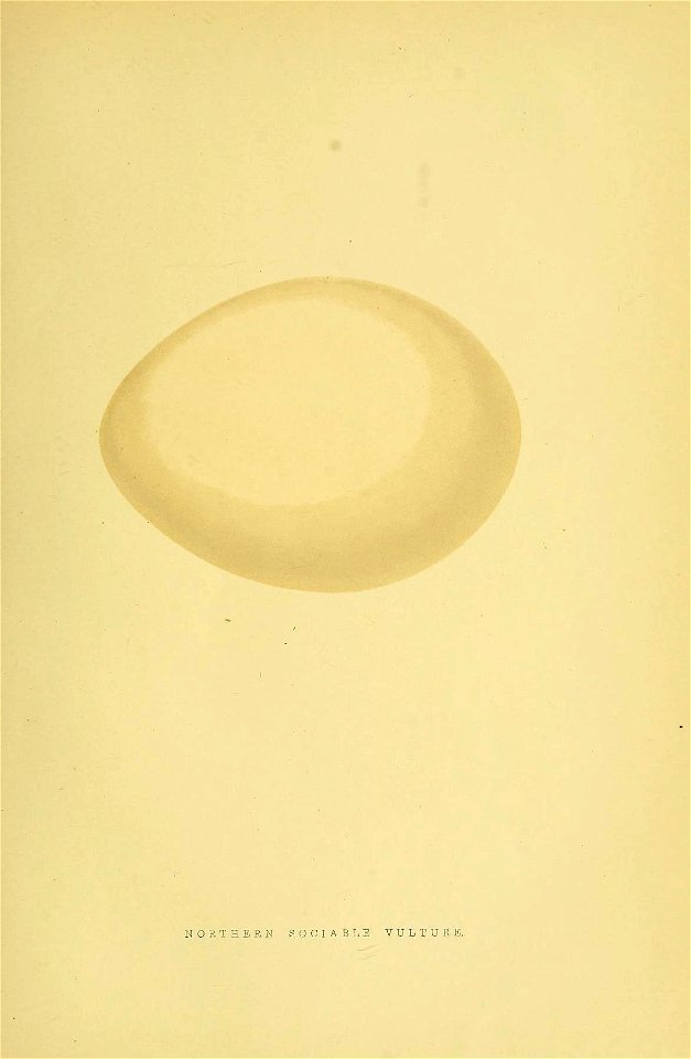 n28_w1150