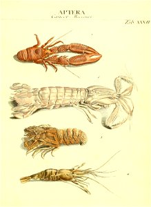 n166_w1150