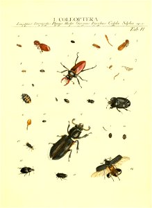 n106_w1150
