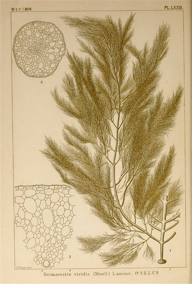 n139_w1150