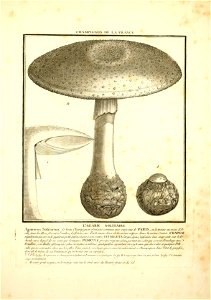 n102_w1150