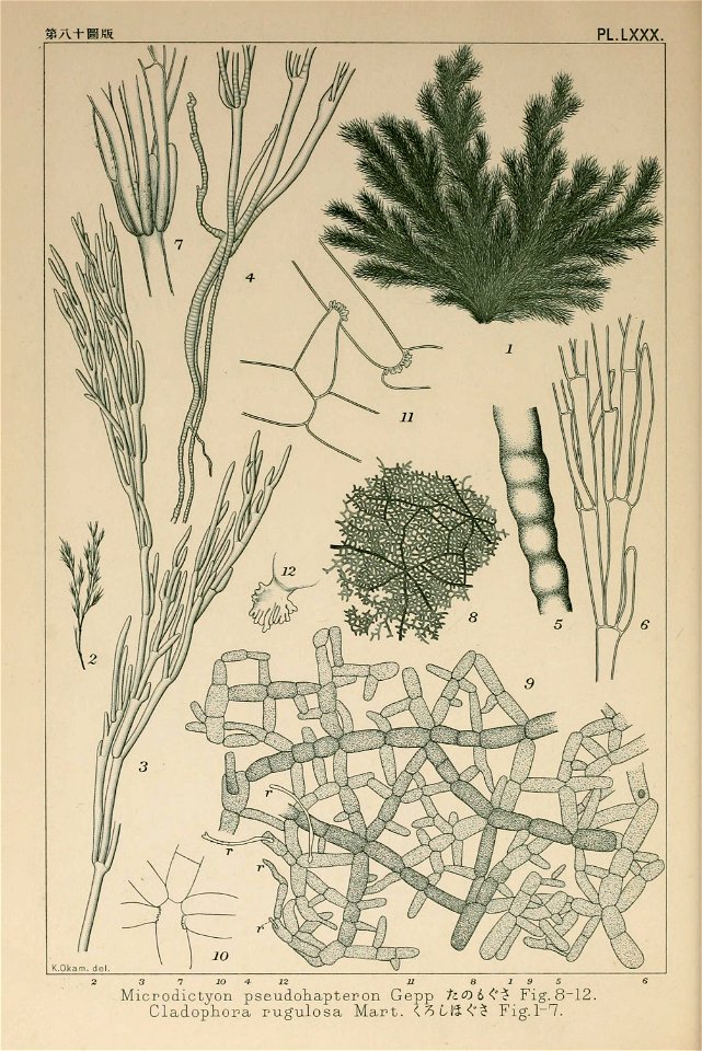 n171_w1150