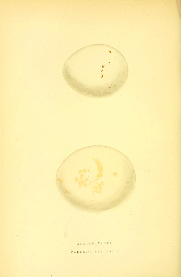 n265_w1150