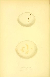 n265_w1150