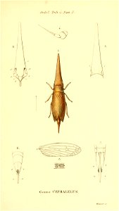 n140_w1150