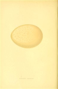 n53_w1150