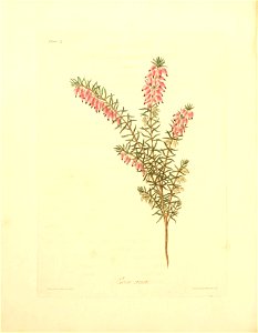 n139_w1150