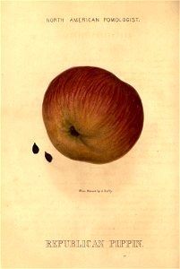 n107_w1150