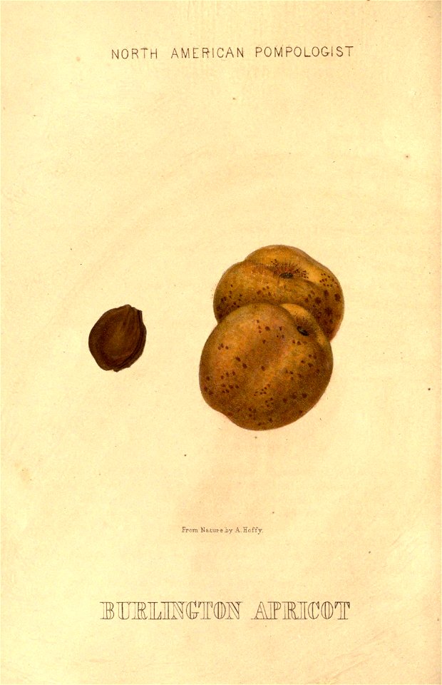 n45_w1150