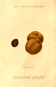 n45_w1150