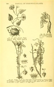 n593_w1150