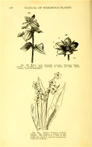 n569_w1150