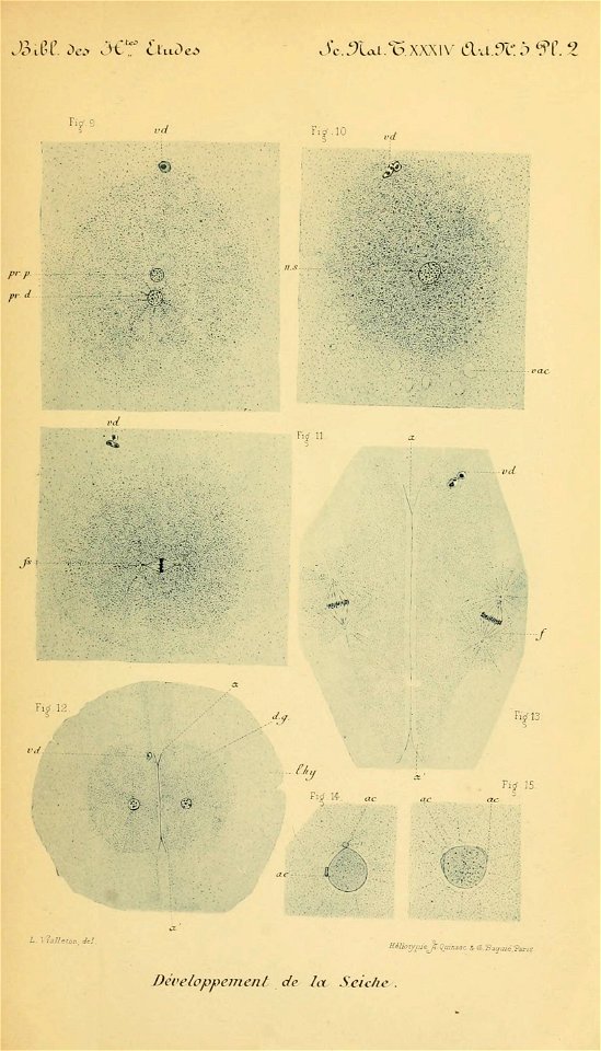n126_w1150