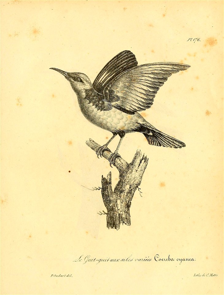 n872_w1150