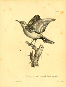n872_w1150