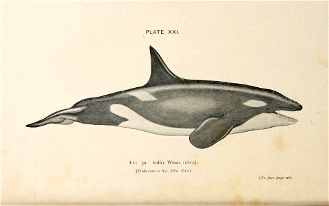 n347_w1150