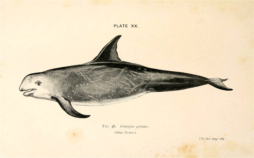 n342_w1150