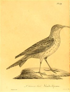 n838_w1150
