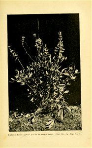 n432_w1150