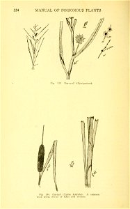 n207_w1150
