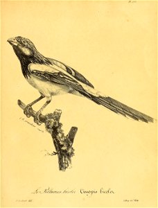n802_w1150