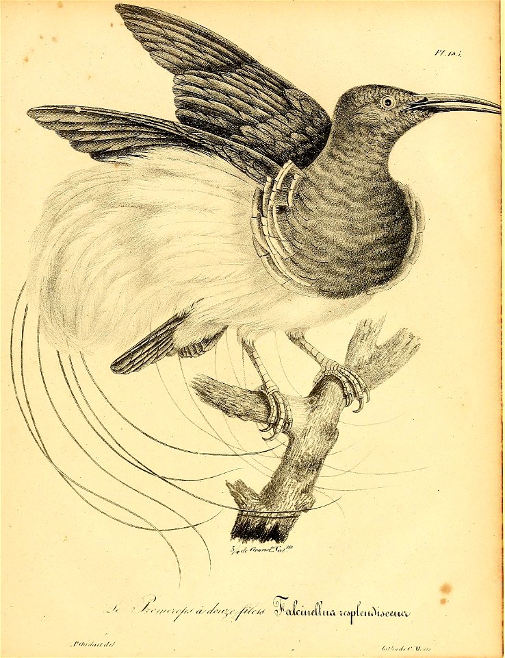 n890_w1150