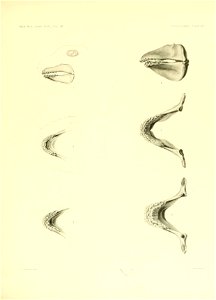 n200_w1150