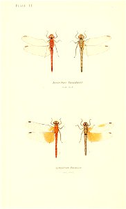 n103_w1150