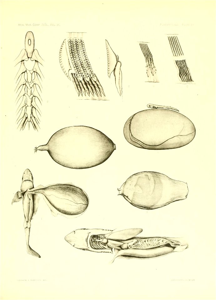 n256_w1150