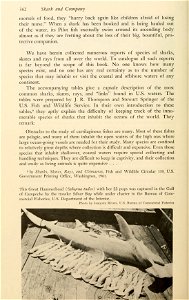 n379_w1150