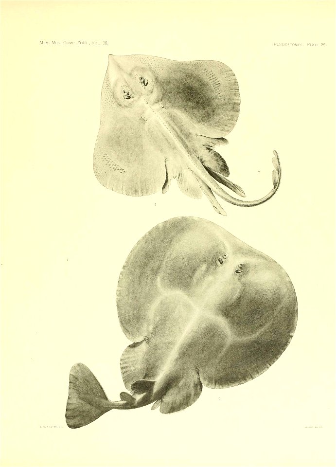 n120_w1150