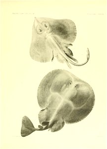 n120_w1150