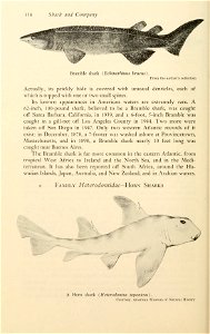 n375_w1150