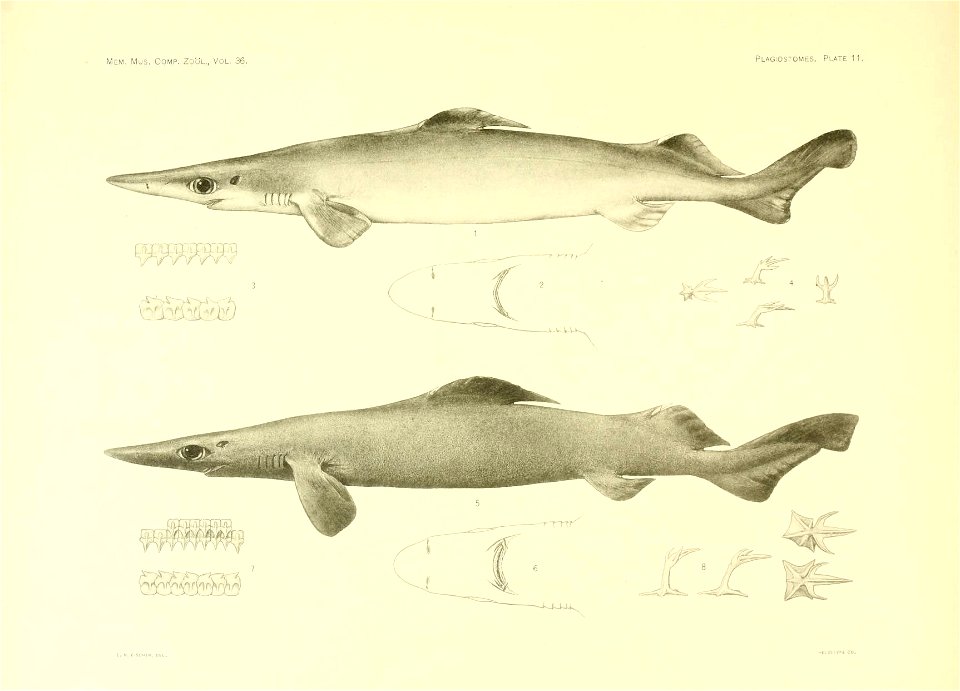 n58_w1150