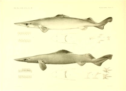 n58_w1150
