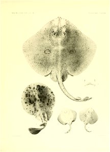 n116_w1150