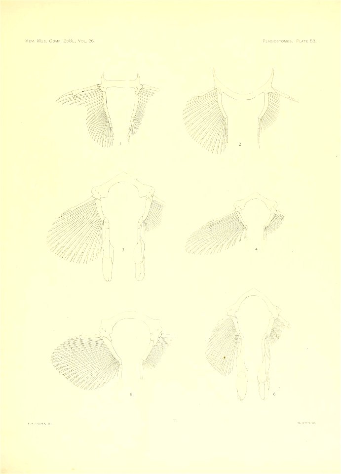 n232_w1150
