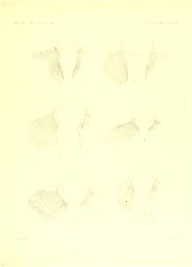 n232_w1150