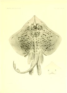 n112_w1150