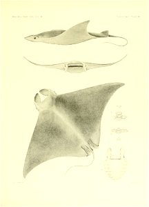 n172_w1150