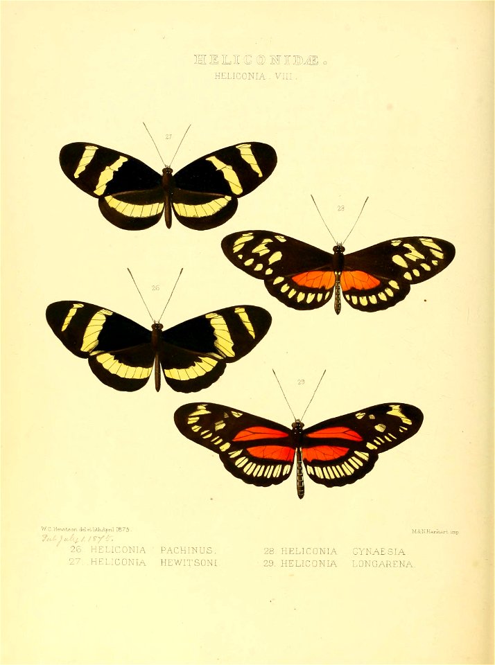 n179_w1150