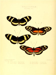 n179_w1150