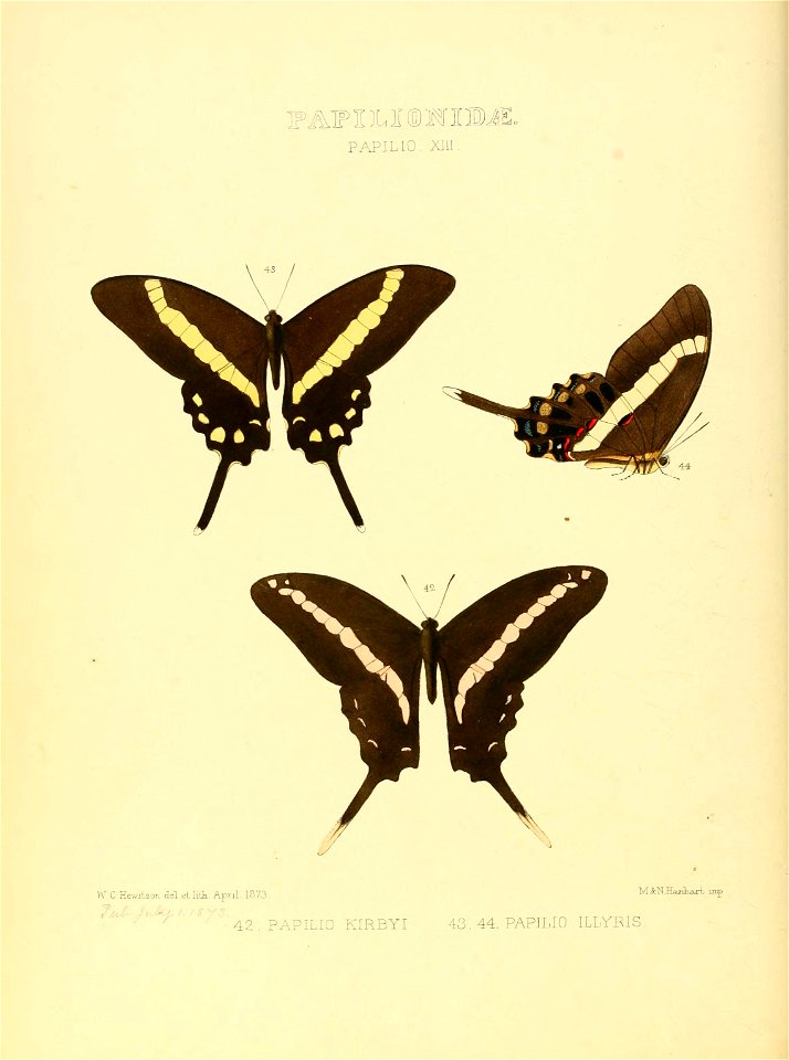 n59_w1150
