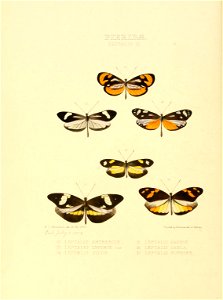 n119_w1150