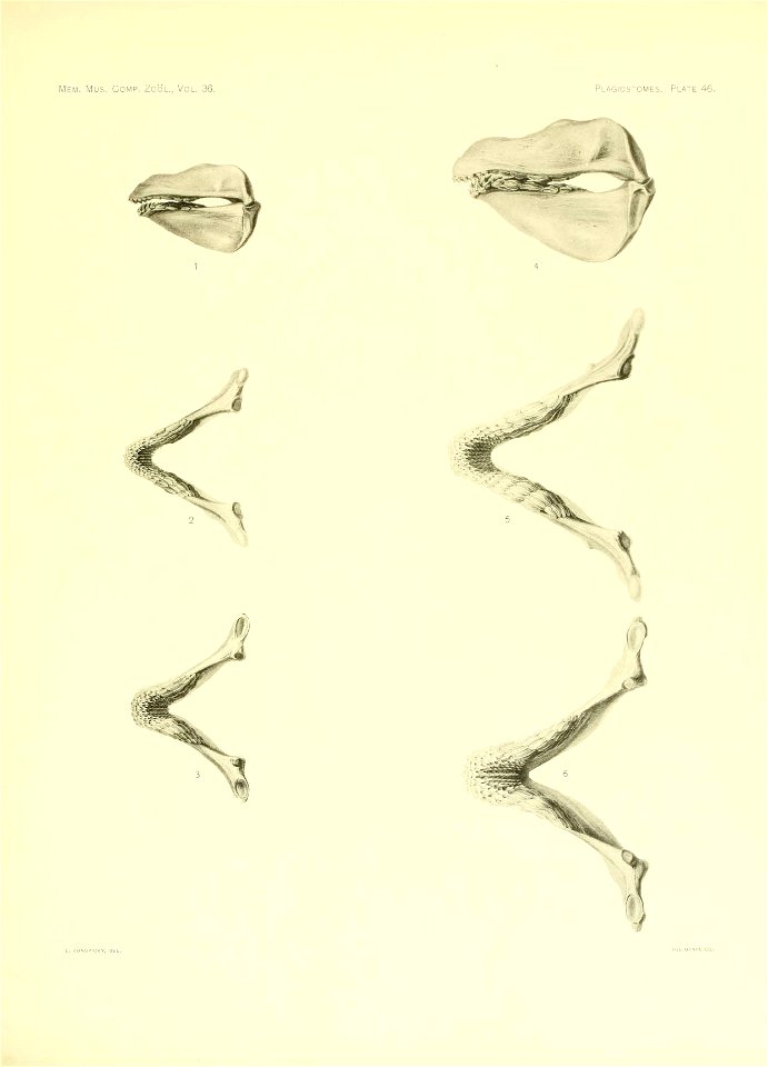 n204_w1150