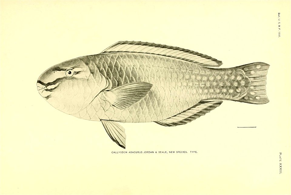n296_w1150