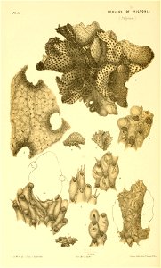 n341_w1150