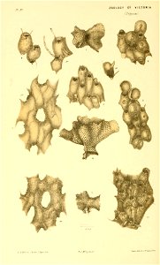 n327_w1150