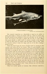 n377_w1150